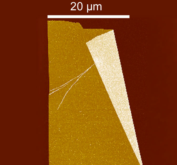 AFM