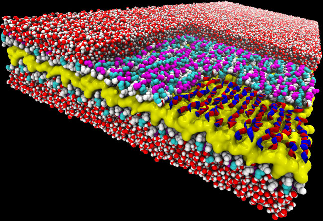nanosheet_simulation