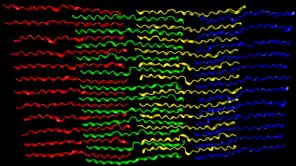 sigmasheet
